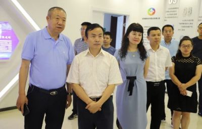 省委统战部副部长林宽海深入我公司调研