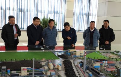 北京泰颖公司考察团一行到公司调研
