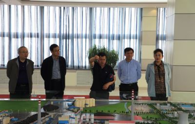 市人大、科技局领导一行到公司视察