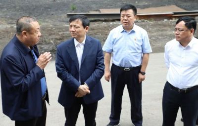 市委书记一行到公司视察