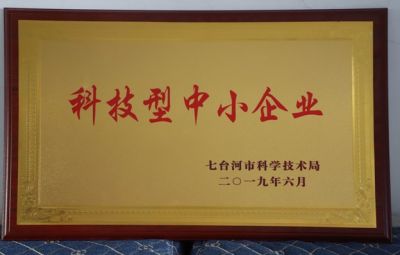 石墨烯公司被七台河市科学技术局授予科技型中小企业称号