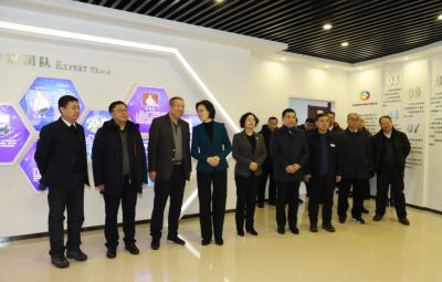 副省长沈莹到公司视察工作